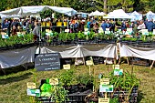 Fête des plantes et des plants légumes fruits vignes tisanes bio dans le parc du château de Courtanvaux, Besse sur Braye, Sarthe, Pays de la Loire, France