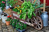 Country atmosphere in Sarthe, Pays de la Loire, France