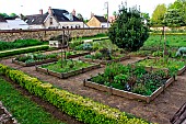 Vegetable garden in squares, Bonnétable, Sarthe, France
