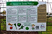 In the vegetable garden, a sign tells the story of the vegetables, here cabbage, lettuce, parsnips, onions, leeks and radishes, Jardin potager de Bonnétable, Sarthe, France.