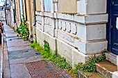 Weeds in front of a town house, Le Mans, Sarthe, France