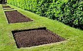 Future flower beds on the Tesse park lawn, Le Mans, Sarthe, France