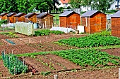 Allotment gardens and shelters for amateur gardeners, Village de Changé, Sarthe, France