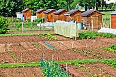 Allotment gardens and shelters for amateur gardeners, Village de Changé, Sarthe, France
