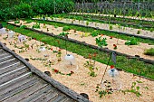 Flower beds, Arche de la nature, Jardin pédagogique, Le Mans métropole, France
