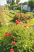Potager de lEcole du Breuil, Paris, France