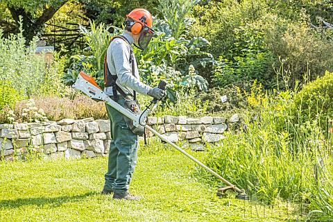 Garden_clearing
