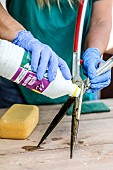 Disinfection and cleaning of a cutting tool (shears) with methylated spirits.
