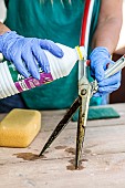 Disinfection and cleaning of a cutting tool (shears) with methylated spirits.