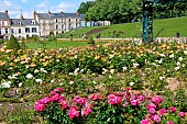 Roseraie du jardin des plantes, Le Mans, Sarthe, France