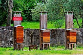 Beehives with chimneys in the Jardin des Plantes, Le Mans, Sarthe, France
