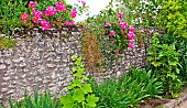 Flowers and low stone wall along a village street, Sarthe, France