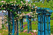 Roseraie du jardin des plantes, Le Mans, Sarthe, France