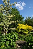 Ferriere garden, Amont et Effreney, Haute Saone, France