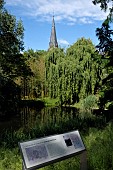 Pond, Saint Maurice church, botanical garden of the University of Strasbourg, Strasbourg, Bas Rhin, France