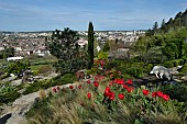 View on the city, Les Terrasses de Besançon garden, Bregille hill, Besancon, Doubs, France