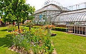Bonnetable vegetable garden. A magnificent glass greenhouse from the 19th century, where several varieties of tomato are grown. The Bonnetable vegetable garden is the work of the Buhler brothers, two landscape designers who also created Le Thabor garden in Nantes. Sarthe, France