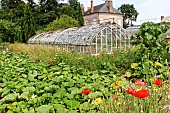 Bonnetable vegetable garden. A magnificent glass greenhouse from the 19th century, where several varieties of tomato are grown. The Bonnetable vegetable garden is the work of the Buhler brothers, two landscape designers who also created Le Thabor garden in Nantes. Sarthe, France