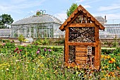 Insect hotel in the Bonnétable vegetable garden. Magnificent glass greenhouse from the 19th century, where several varieties of tomato are grown. The Bonnétable vegetable garden is the work of the Buhler brothers, two landscape designers who also created the Le Thabor garden in Nantes. Sarthe, France