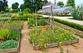 Square garden at the Bonnétable vegetable garden. A magnificent glass greenhouse from the 19th century, where several varieties of tomato are grown. The Bonnétable vegetable garden is the work of the Buhler brothers, two landscape designers who also created Le Thabor garden in Nantes. Sarthe, France