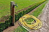 Watering the garden, Jardin potager de Bonnétable, Sarthe, France