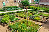 Square garden at the Bonnétable vegetable garden. A magnificent glass greenhouse from the 19th century, where several varieties of tomato are grown. The Bonnétable vegetable garden is the work of the Buhler brothers, two landscape designers who also created Le Thabor garden in Nantes. Sarthe, France