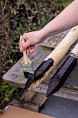 Application of black protective tar to wooden stakes before planting