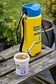 Treating an Eleagnus hedge attacked by psyllids with a black soap solution