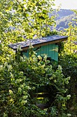 Tree houses, France, Moselle, summer