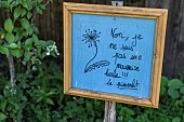 Sign ?No, Im not a weed !!! The dandelion? in a garden, France, Moselle, summer