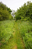 Differentiated mowing in a garden, Farnce, Brittany, spring
