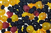 Mirabelle plum (Prunus domestica subsp. syriaca), raspberry (Rubus idaeus), bramble (Rubus fruticosus), dish, preparation of a clafoutis, cooking, Belfort, Territoire de Belfort, France