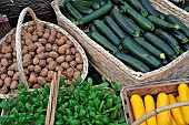 Baskets of vegetables and fruits, Folie?Flore, ephemeral gardens, exhibition center, in October each year, Mulhouse, Haut-Rhin, France