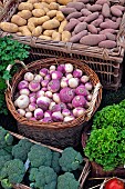 Baskets of vegetables and fruits, Folie?Flore, ephemeral gardens, exhibition center, in October each year, Mulhouse, Haut-Rhin, France