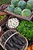 Baskets of vegetables and fruits, Folie?Flore, ephemeral gardens, exhibition center, in October each year, Mulhouse, Haut-Rhin, France