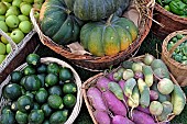 Baskets of vegetables and fruits, Folie?Flore, ephemeral gardens, exhibition center, in October each year, Mulhouse, Haut-Rhin, France