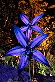 Folie’Flore, ephemeral gardens, exhibition center, in October each year, Mulhouse, Haut-Rhin, France