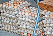 Farm egg sales, Sarthe, France
