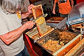 Pedagogical honey harvesting, Honey harvesting in front of the public, here the desoperculation of beeswax on a hive frame at larche de la nature, Le Mans Métropole educational area, Sarthe, France