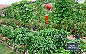 Jardin potager pédagogique de lArche de la nature, Le Mans métropole, Sarthe, France