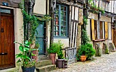 Half-timbered house with lots of plants on the facade in Old Mans, Sarthe, France