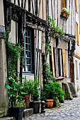 Half-timbered house with lots of plants on the facade in Old Mans, Sarthe, France