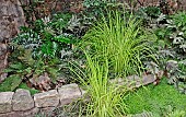 Plants in a rock garden, Le Mans, Sarthe, France
