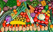 Vegetable display at an agricultural show, Sarthe, France