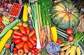 Vegetable display at an agricultural show, Sarthe, France