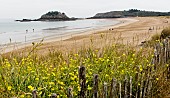Ile du Guesclin, Saint Coulomp, near Cancale, Ille-et-Vilaine, Brittany, France