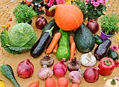 Vegetable and fruit show at the Comice Agricole in Sille le Philippe, Sarthe, Pays de Loire, France
