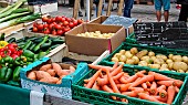 Selling vegetables at the Jacobins market, Le Mans, Sarthe, France