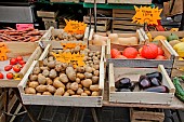 Selling vegetables at the Jacobins market, Le Mans, Sarthe, France
