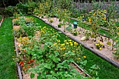 Educational vegetable garden, vegetables and flowers, at larche de la nature, Le Mans Métropole, Sarthe, France